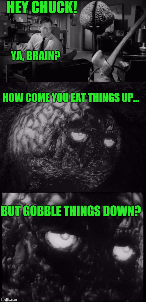 Ya, how come? | HEY CHUCK! YA, BRAIN? HOW COME YOU EAT THINGS UP... BUT GOBBLE THINGS DOWN? | image tagged in brian and chuck | made w/ Imgflip meme maker