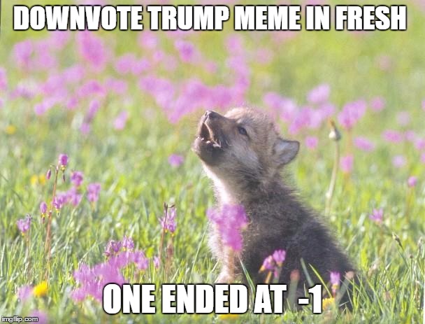 Baby Insanity Wolf Meme | DOWNVOTE TRUMP MEME IN
FRESH; ONE ENDED AT  -1 | image tagged in memes,baby insanity wolf | made w/ Imgflip meme maker