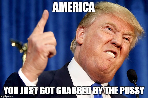 Donald Trump | AMERICA; YOU JUST GOT GRABBED BY THE PUSSY | image tagged in donald trump | made w/ Imgflip meme maker