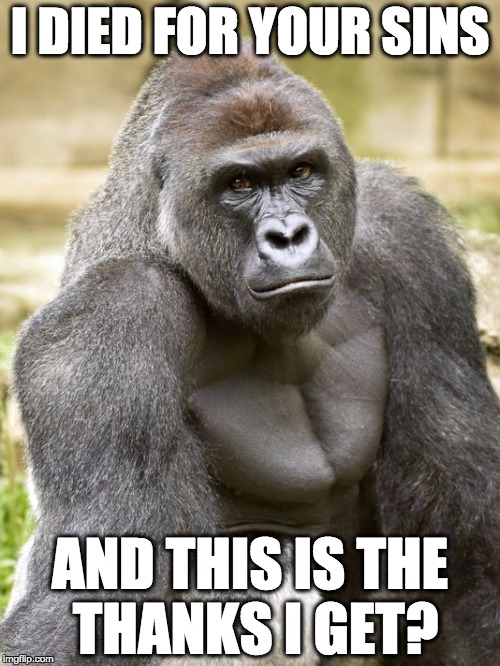 Fuck Trump | I DIED FOR YOUR SINS; AND THIS IS THE THANKS I GET? | image tagged in harambe,trump,2016,rip,rip harambe | made w/ Imgflip meme maker