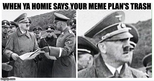 How does imgflip feel about hitler memes? | WHEN YA HOMIE SAYS YOUR MEME PLAN'S TRASH | image tagged in memes,trash,hitler,curious | made w/ Imgflip meme maker