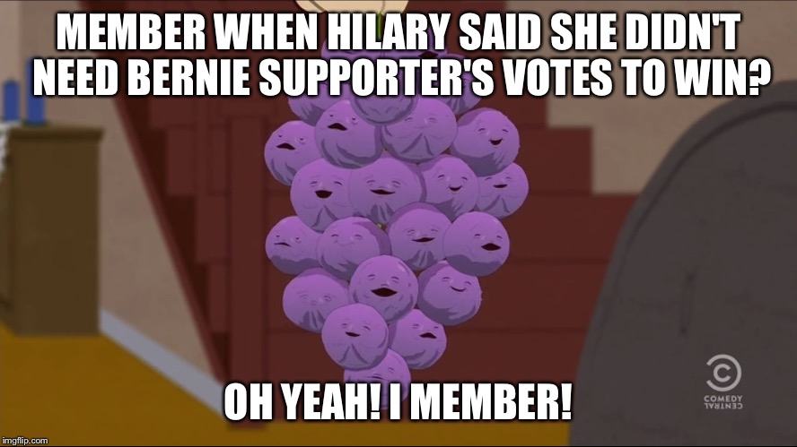 Member Berries Meme | MEMBER WHEN HILARY SAID SHE DIDN'T NEED BERNIE SUPPORTER'S VOTES TO WIN? OH YEAH! I MEMBER! | image tagged in memes,member berries | made w/ Imgflip meme maker