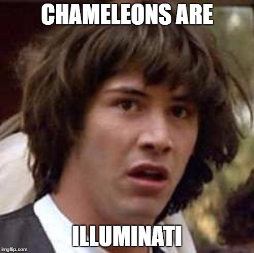 Conspiracy Keanu Meme | CHAMELEONS ARE ILLUMINATI | image tagged in memes,conspiracy keanu | made w/ Imgflip meme maker