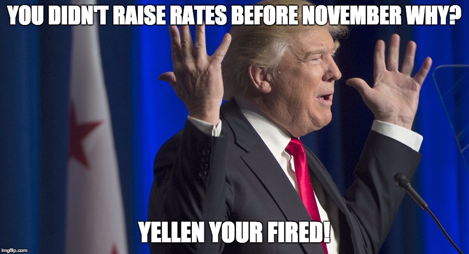 YOU DIDN'T RAISE
RATES BEFORE NOVEMBER WHY? YELLEN YOUR FIRED! | image tagged in trump you did what | made w/ Imgflip meme maker