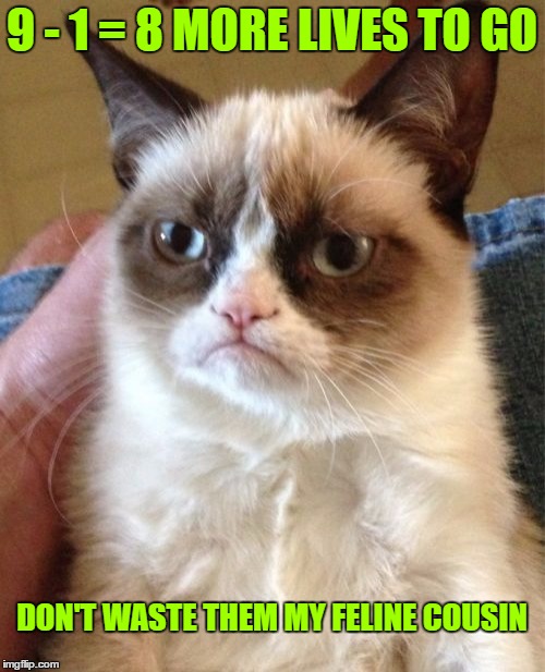 Grumpy Cat Meme | 9 - 1 = 8 MORE LIVES TO GO DON'T WASTE THEM MY FELINE COUSIN | image tagged in memes,grumpy cat | made w/ Imgflip meme maker