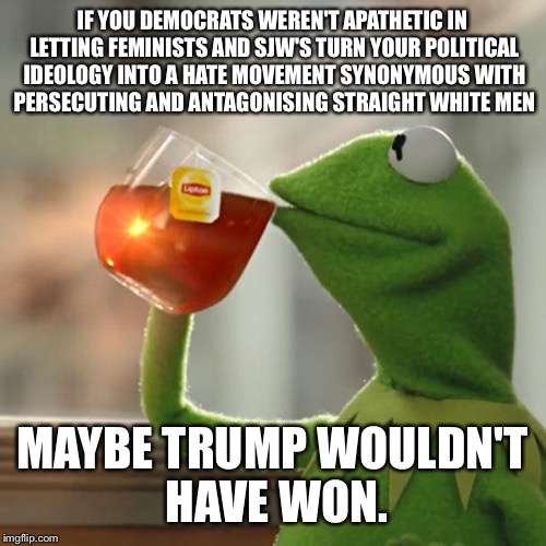 But That's None Of My Business | IF YOU DEMOCRATS WEREN'T APATHETIC IN LETTING FEMINISTS AND SJW'S TURN YOUR POLITICAL IDEOLOGY INTO A HATE MOVEMENT SYNONYMOUS WITH PERSECUTING AND ANTAGONISING STRAIGHT WHITE MEN; MAYBE TRUMP WOULDN'T HAVE WON. | image tagged in memes,but thats none of my business,kermit the frog | made w/ Imgflip meme maker
