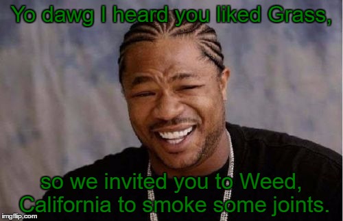 Proposition 64 Passed In California, Meaning Anyone 21 & Over Is Now Legal To 420. | Yo dawg I heard you liked Grass, so we invited you to Weed, California to smoke some joints. | image tagged in memes,yo dawg heard you,marijuana,proposition 64,legal,funny | made w/ Imgflip meme maker