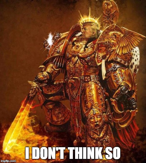 I DON'T THINK SO | image tagged in trump flame warrior | made w/ Imgflip meme maker