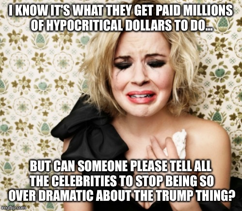 Dramatic | I KNOW IT'S WHAT THEY GET PAID MILLIONS OF HYPOCRITICAL DOLLARS TO DO... BUT CAN SOMEONE PLEASE TELL ALL THE CELEBRITIES TO STOP BEING SO OVER DRAMATIC ABOUT THE TRUMP THING? | image tagged in dramatic | made w/ Imgflip meme maker