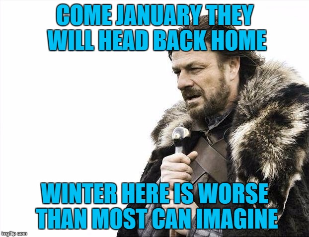 Brace Yourselves X is Coming Meme | COME JANUARY THEY WILL HEAD BACK HOME WINTER HERE IS WORSE THAN MOST CAN IMAGINE | image tagged in memes,brace yourselves x is coming | made w/ Imgflip meme maker