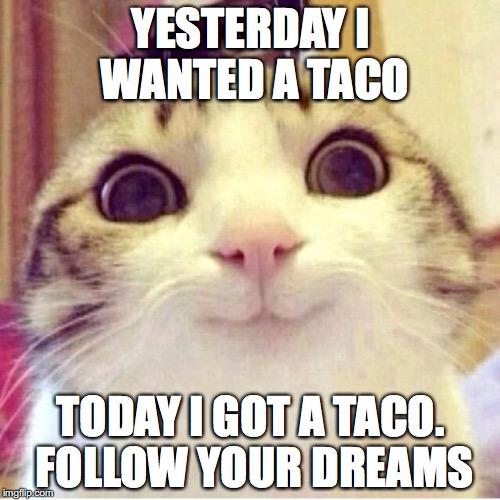 Happy cat | YESTERDAY I WANTED A TACO; TODAY I GOT A TACO. FOLLOW YOUR DREAMS | image tagged in happy cat | made w/ Imgflip meme maker