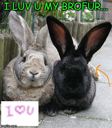 Brofur | I LUV U MY BROFUR... | image tagged in memes | made w/ Imgflip meme maker