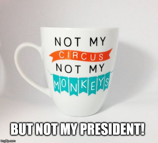 BUT NOT MY PRESIDENT! | made w/ Imgflip meme maker