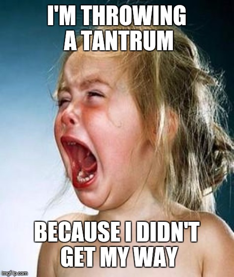 I'M THROWING A TANTRUM BECAUSE I DIDN'T GET MY WAY | made w/ Imgflip meme maker