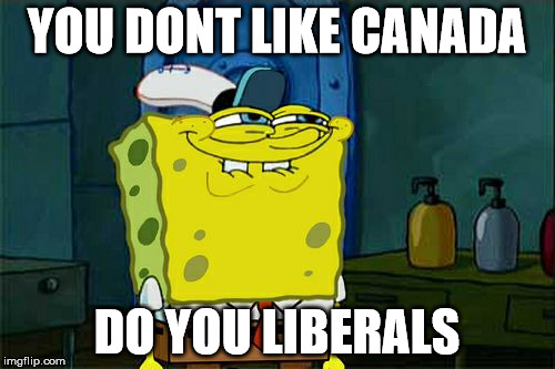 Don't You Squidward Meme | YOU DONT LIKE CANADA DO YOU LIBERALS | image tagged in memes,dont you squidward | made w/ Imgflip meme maker