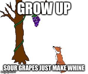 Making bitter whine | GROW UP; SOUR GRAPES JUST MAKE WHINE | image tagged in sour grapes,memes | made w/ Imgflip meme maker