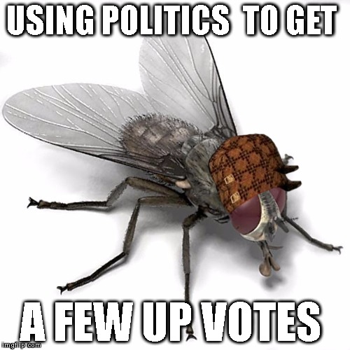 Scumbag House Fly | USING POLITICS  TO GET; A FEW UP VOTES | image tagged in scumbag house fly,scumbag | made w/ Imgflip meme maker