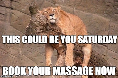 Relax | THIS COULD BE YOU SATURDAY; BOOK YOUR MASSAGE NOW | image tagged in relax | made w/ Imgflip meme maker