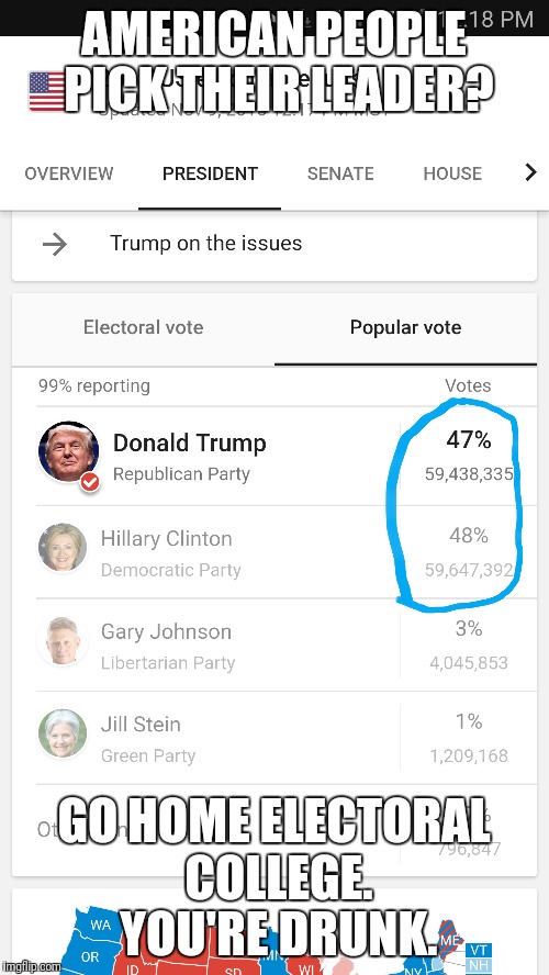 You're Drunk | AMERICAN PEOPLE PICK THEIR LEADER? GO HOME ELECTORAL COLLEGE. YOU'RE DRUNK. | image tagged in electoral college,president,presidential race,president 2016,meme,memes | made w/ Imgflip meme maker