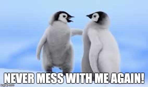 NEVER MESS WITH ME AGAIN! | image tagged in cute | made w/ Imgflip meme maker