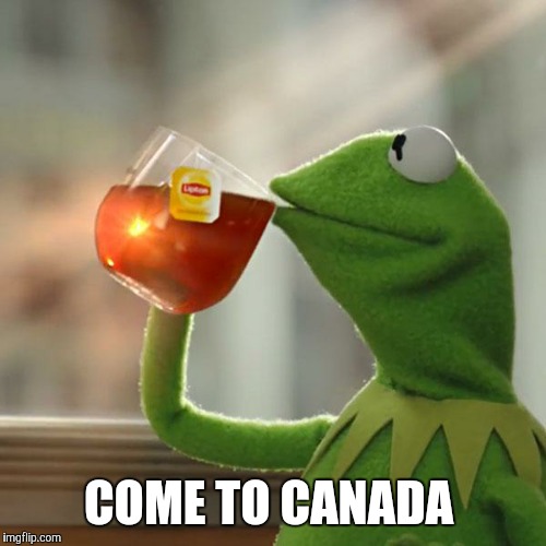 But That's None Of My Business Meme | COME TO CANADA | image tagged in memes,but thats none of my business,kermit the frog | made w/ Imgflip meme maker