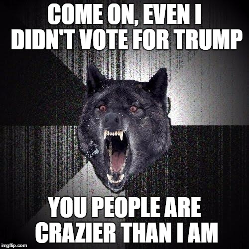 Insanity Wolf on the 2016 Election | COME ON, EVEN I DIDN'T VOTE FOR TRUMP; YOU PEOPLE ARE CRAZIER THAN I AM | image tagged in memes,insanity wolf | made w/ Imgflip meme maker