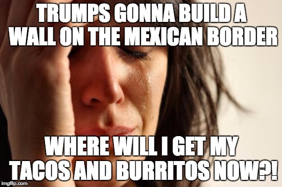 First World Problems | TRUMPS GONNA BUILD A WALL ON THE MEXICAN BORDER; WHERE WILL I GET MY TACOS AND BURRITOS NOW?! | image tagged in memes,first world problems | made w/ Imgflip meme maker