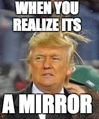 Donald The Hairiot | WHEN YOU REALIZE ITS; A MIRROR | image tagged in donald trump,bad hair day,when you realize,election 2016,donald trump hair | made w/ Imgflip meme maker