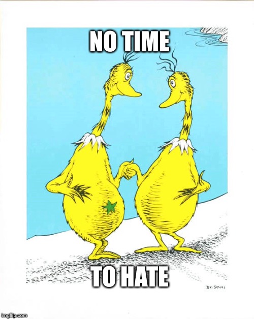 No hate sneetches | NO TIME; TO HATE | image tagged in peace out | made w/ Imgflip meme maker