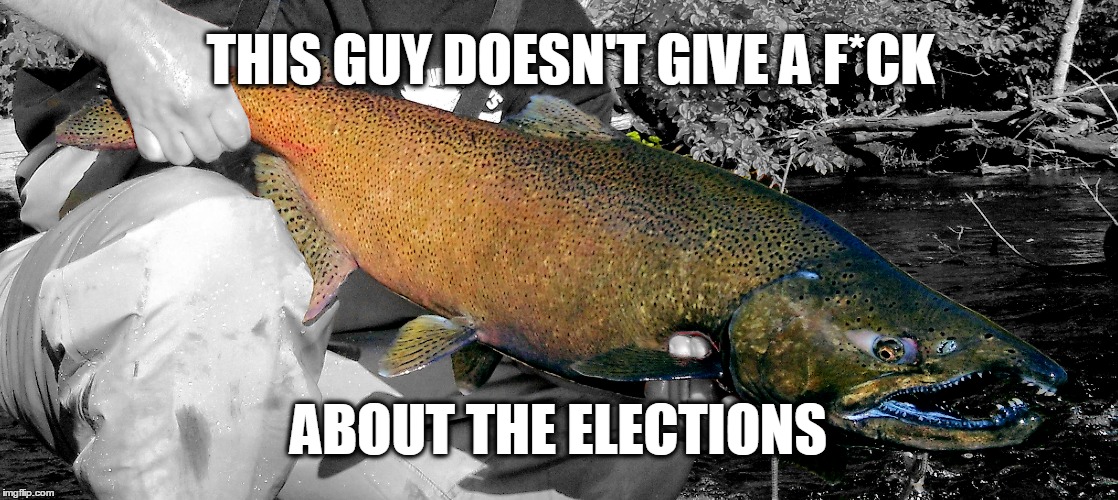 What Elections? | THIS GUY DOESN'T GIVE A F*CK; ABOUT THE ELECTIONS | image tagged in fishingtrumpspolitics,sickofelections | made w/ Imgflip meme maker