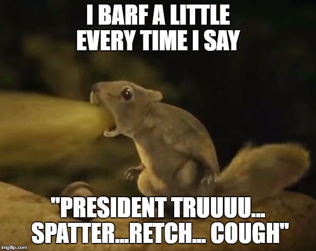 Trump Squirrel | I BARF A LITTLE EVERY TIME I SAY; "PRESIDENT TRUUUU... SPATTER...RETCH... COUGH" | image tagged in president trump,cute squirrel,barfing squirrel | made w/ Imgflip meme maker