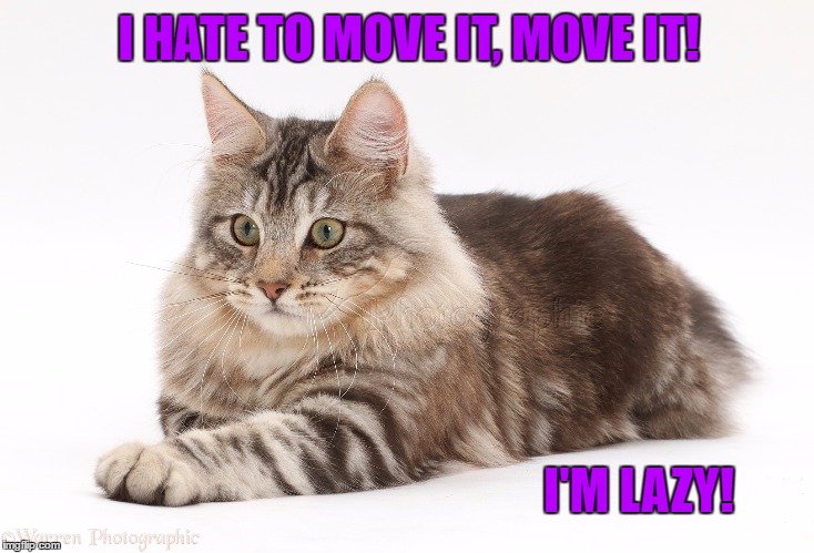 I HATE TO MOVE IT, MOVE IT! I'M LAZY! | made w/ Imgflip meme maker