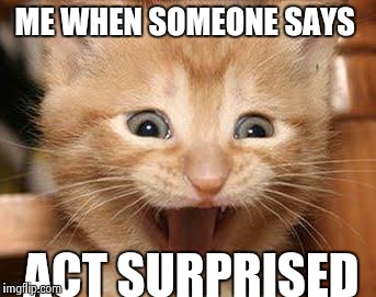 Excited Cat | ME WHEN SOMEONE SAYS; ACT SURPRISED | image tagged in memes,excited cat | made w/ Imgflip meme maker