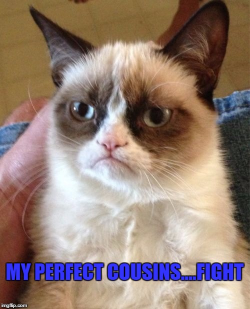 Grumpy Cat Meme | MY PERFECT COUSINS....FIGHT | image tagged in memes,grumpy cat | made w/ Imgflip meme maker