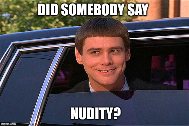 Dumb and dumber limo | DID SOMEBODY SAY; NUDITY? | image tagged in dumb and dumber limo | made w/ Imgflip meme maker