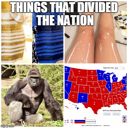 THINGS THAT DIVIDED THE NATION | image tagged in harambe,presidential election,election 2016,the dress | made w/ Imgflip meme maker