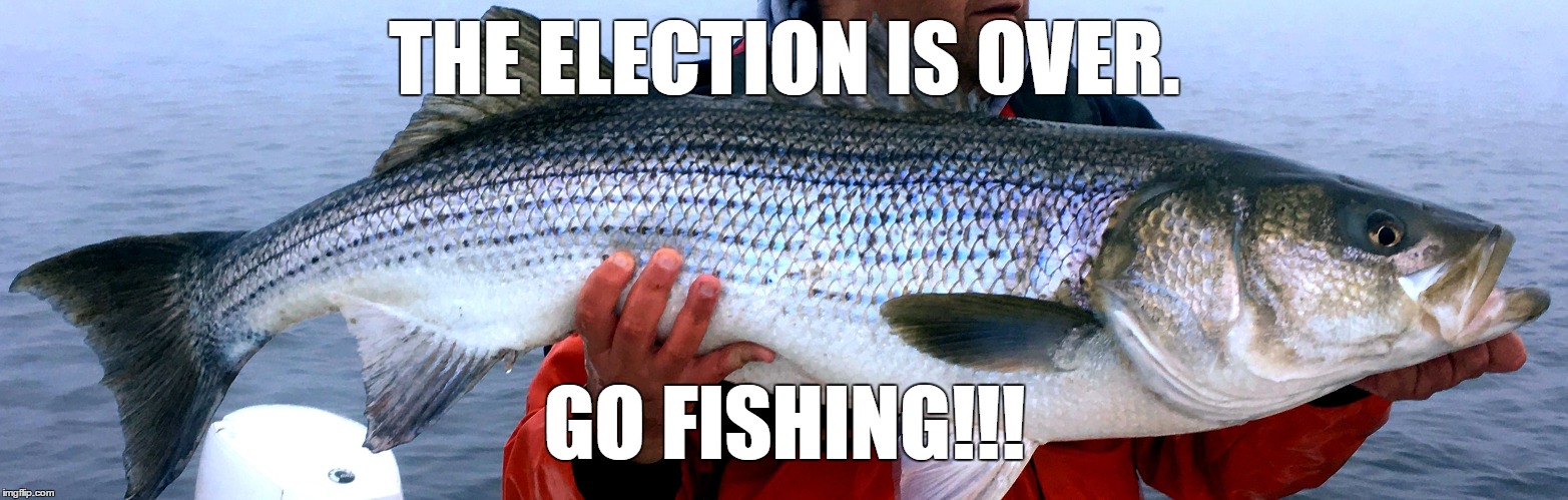The Election is Over | THE ELECTION IS OVER. GO FISHING!!! | image tagged in itsovergofishing,theelectionisover,gofishing,fishingnotpolitics,fishingtrumpspolitics | made w/ Imgflip meme maker