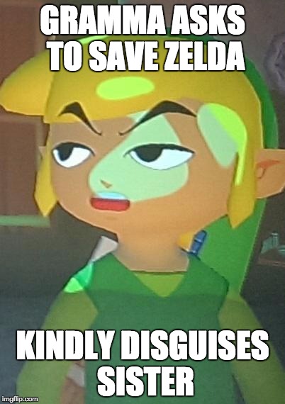 Link is Not Happy With You | GRAMMA ASKS TO SAVE ZELDA; KINDLY DISGUISES SISTER | image tagged in link is not happy with you | made w/ Imgflip meme maker