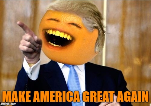 MAKE AMERICA GREAT AGAIN | made w/ Imgflip meme maker