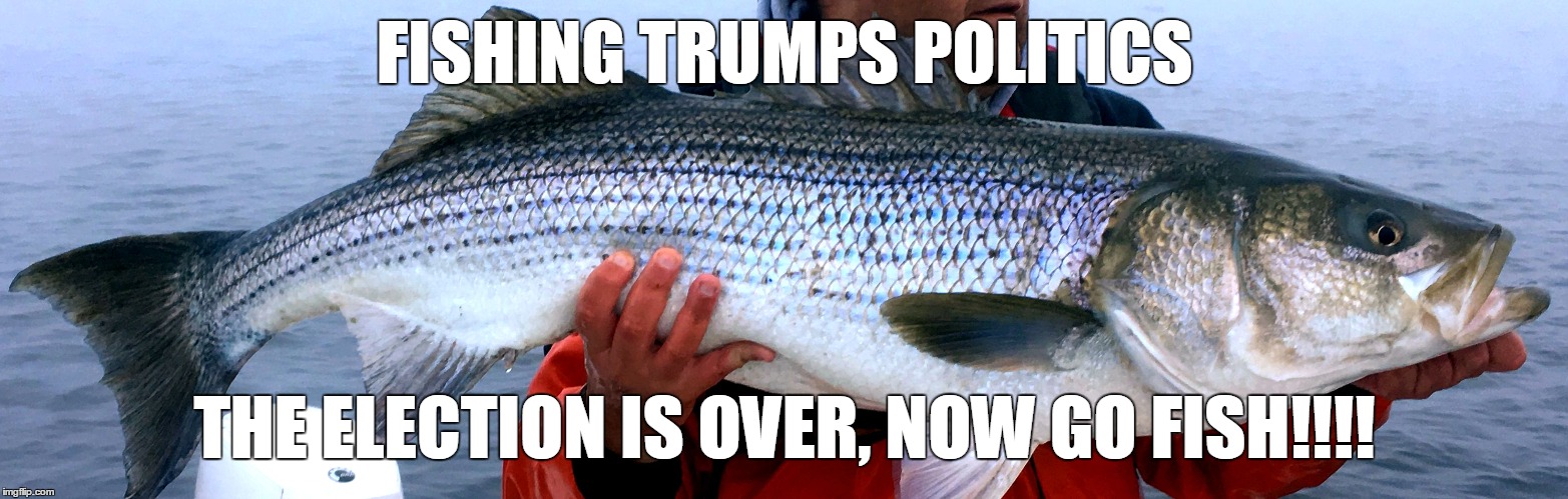 Fishing Trumps Politics | FISHING TRUMPS POLITICS; THE ELECTION IS OVER, NOW GO FISH!!!! | image tagged in fishingtrumpspolitics,gofish,theelectionisover,striperfishing | made w/ Imgflip meme maker