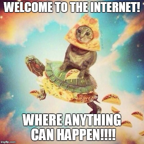 Space Pizza Cat Turtle Tacos | WELCOME TO THE INTERNET! WHERE ANYTHING CAN HAPPEN!!!! | image tagged in space pizza cat turtle tacos | made w/ Imgflip meme maker