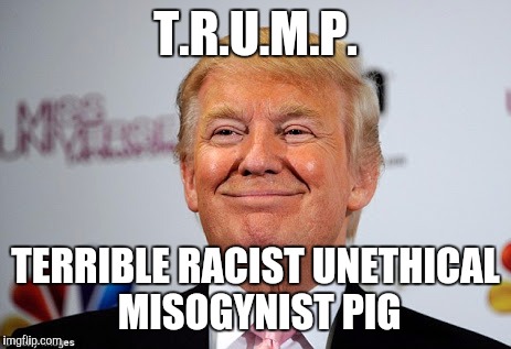 Really 'Merica? | T.R.U.M.P. TERRIBLE RACIST UNETHICAL MISOGYNIST PIG | image tagged in donald trump approves,memes,donald trump | made w/ Imgflip meme maker