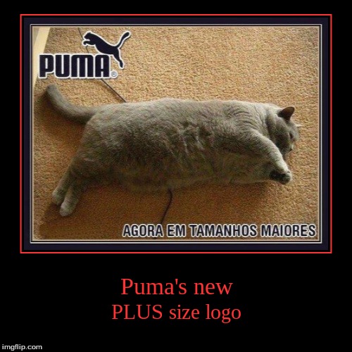 Puma's new - Imgflip