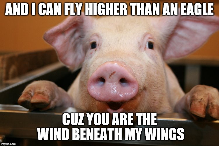 AND I CAN FLY HIGHER THAN AN EAGLE CUZ YOU ARE THE WIND BENEATH MY WINGS | made w/ Imgflip meme maker