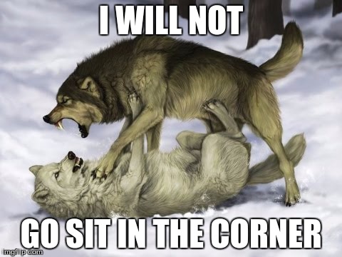 I WILL NOT; GO SIT IN THE CORNER | image tagged in wolf vs wolf | made w/ Imgflip meme maker