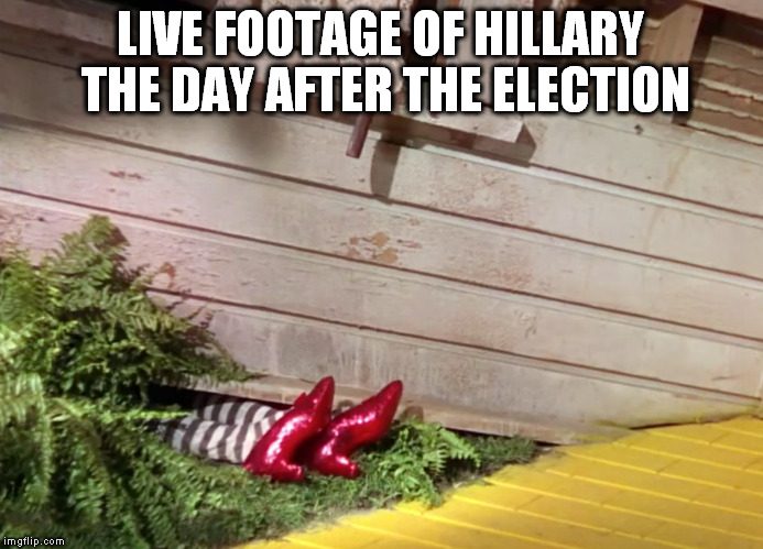 The witch is dead | LIVE FOOTAGE OF HILLARY THE DAY AFTER THE ELECTION | image tagged in hillary,clinton,trump,election,oz,witch | made w/ Imgflip meme maker