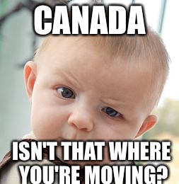 Skeptical Baby Meme | CANADA ISN'T THAT WHERE YOU'RE MOVING? | image tagged in memes,skeptical baby | made w/ Imgflip meme maker