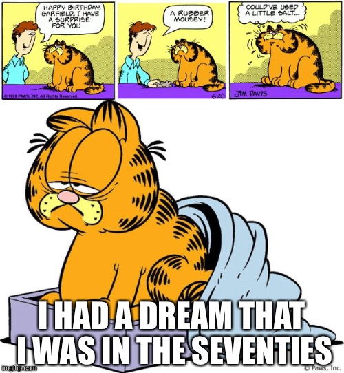 Garfield | I HAD A DREAM THAT I WAS IN THE SEVENTIES | image tagged in garfield | made w/ Imgflip meme maker
