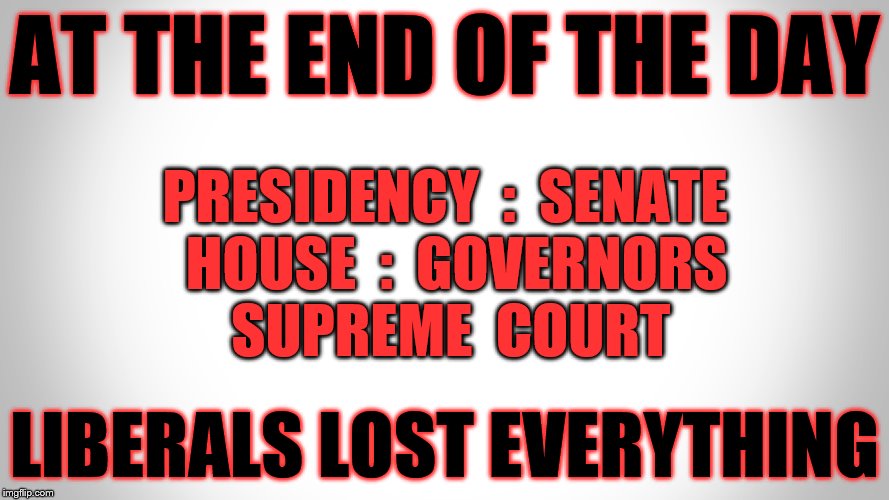 AT THE END OF THE DAY; PRESIDENCY  :  SENATE  HOUSE  :  GOVERNORS SUPREME  COURT; LIBERALS LOST EVERYTHING | made w/ Imgflip meme maker