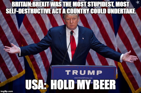 Donald Trump | BRITAIN:BREXIT WAS THE MOST STUPIDEST, MOST SELF-DESTRUCTIVE ACT A COUNTRY COULD UNDERTAKE. USA:  HOLD MY BEER | image tagged in donald trump | made w/ Imgflip meme maker